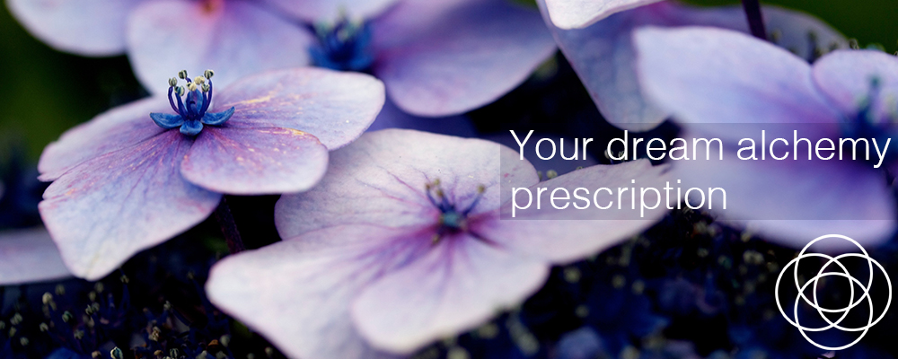 Your dream alchemy prescription – In your dreams by Jane Teresa Anderson Your dream alchemy prescription – In your dreams by Jane Teresa Anderson