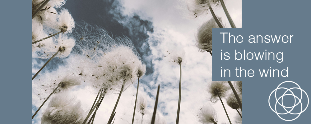 The answer is blowing in the wind The answer is blowing in the wind