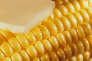 "But what are the facts?" This kind of thinking always reminds me of butter and margarine. "But what are the facts?" This kind of thinking always reminds me of butter and margarine.