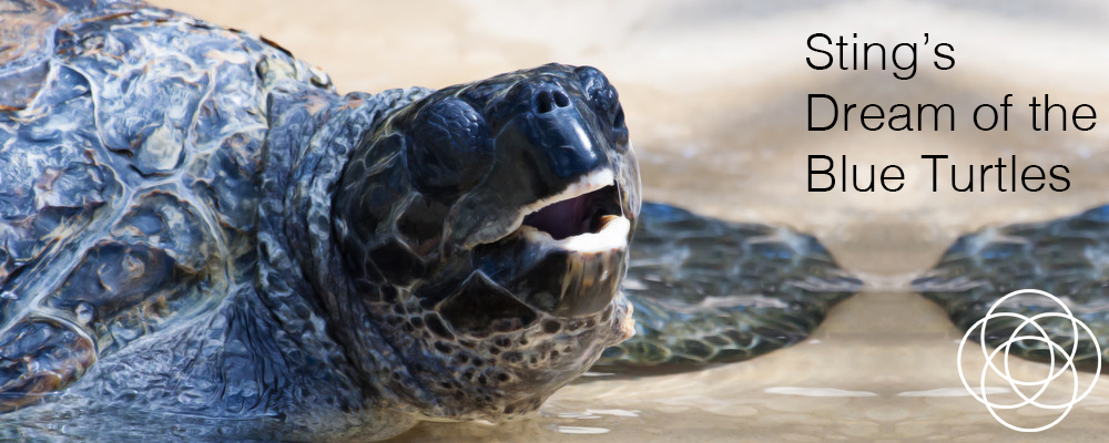 Sting’s Dream of the Blue Turtles Sting’s Dream of the Blue Turtles