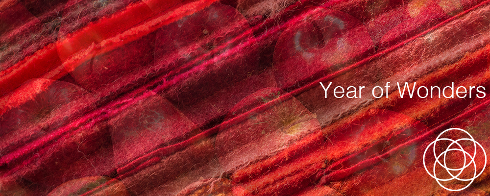 Year of Wonders – In your dreams by Jane Teresa Anderson Year of Wonders – In your dreams by Jane Teresa Anderson