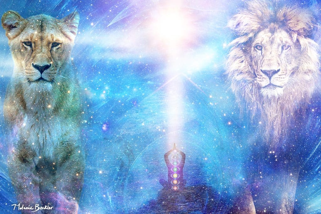 2024 Lions Gate Portal