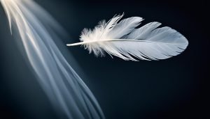 Spiritual Meanings & Symbolism of Finding a White Feather