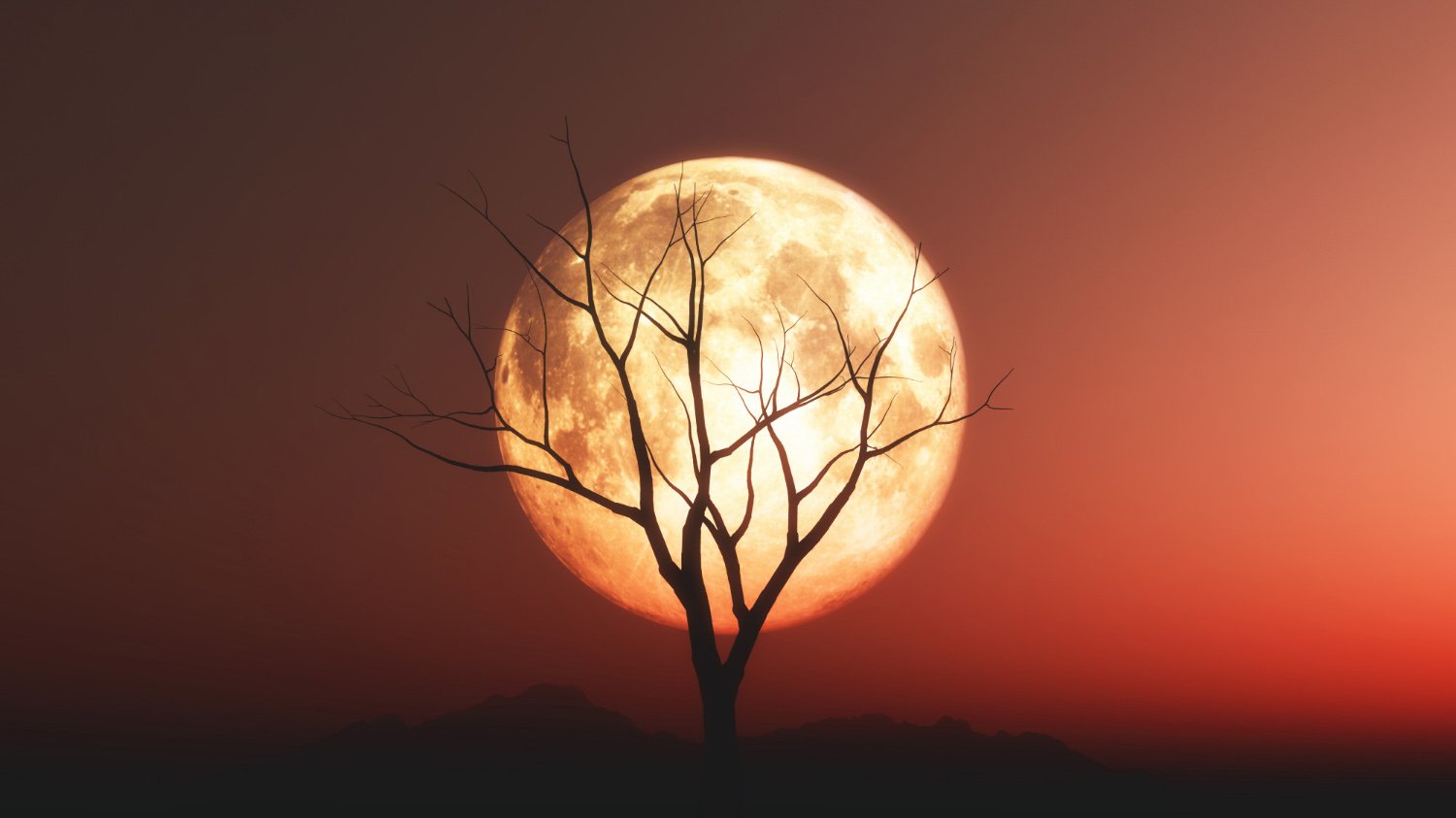 Orange Moon on top of a tree