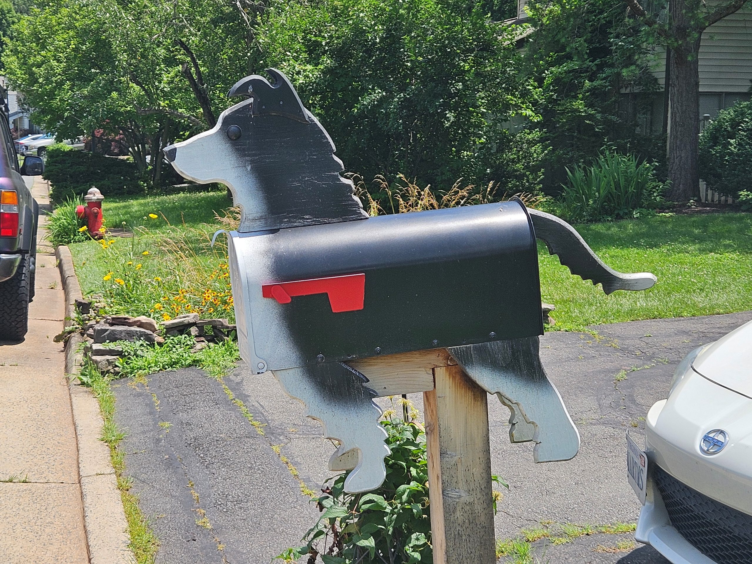 Will Your Pet Dog or Cat Go to Heaven? – Rose Rosetree Will Your Pet Dog or Cat Go to Heaven? – Rose Rosetree